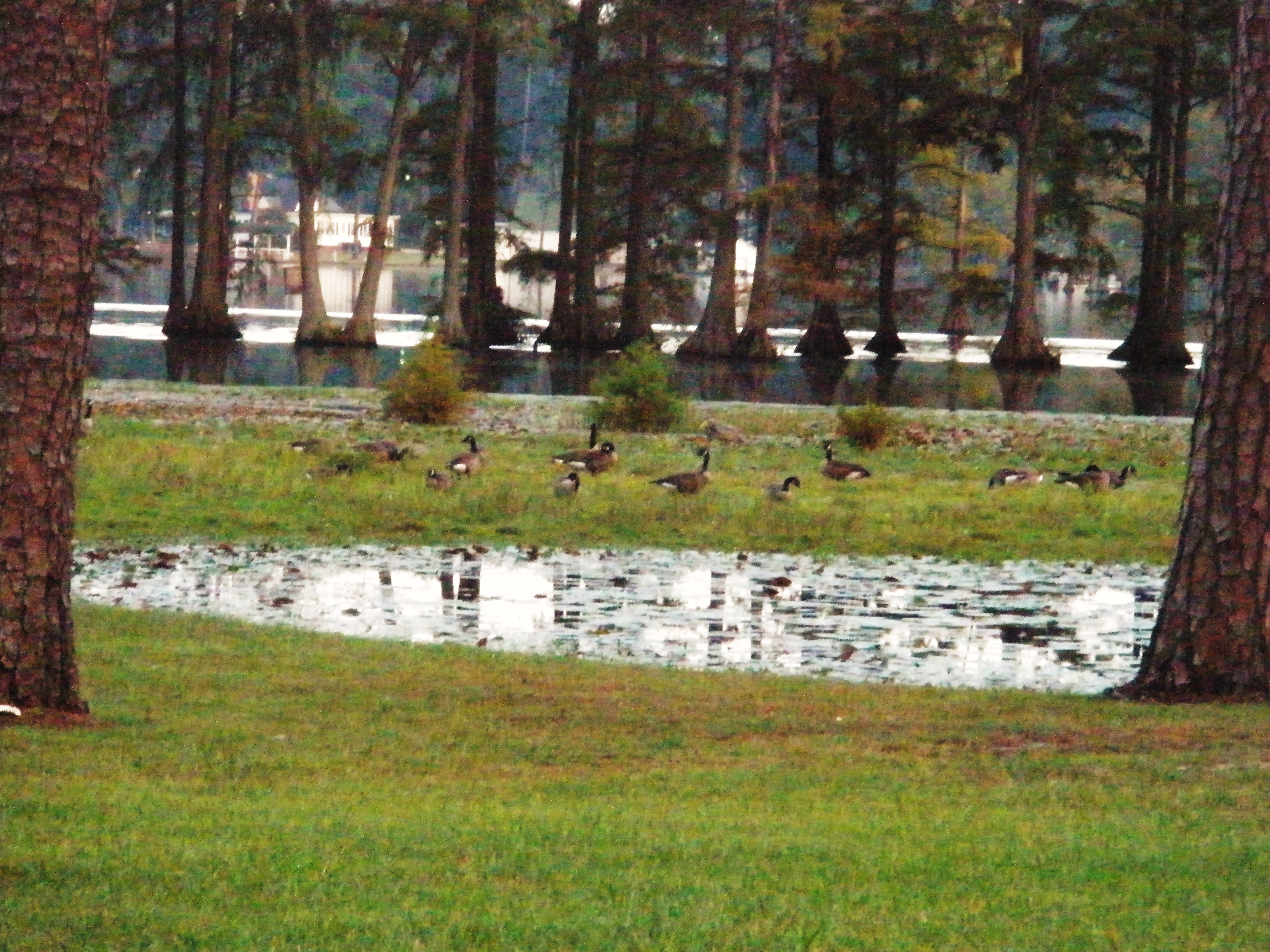 P9280016.JPG